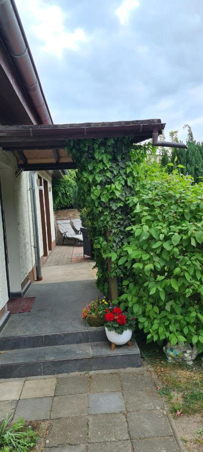 Ferienwohnung Hampel Altglietzen Extérieur photo